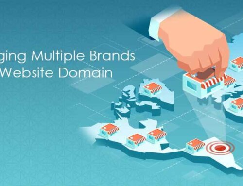 Managing multiple brands with 1 website domain